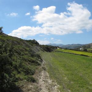 Going north through the fields of Ambelas, Paros island