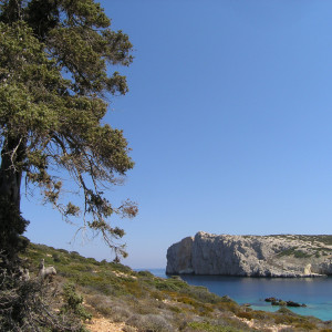 Schoulonissi islet, Donousa island